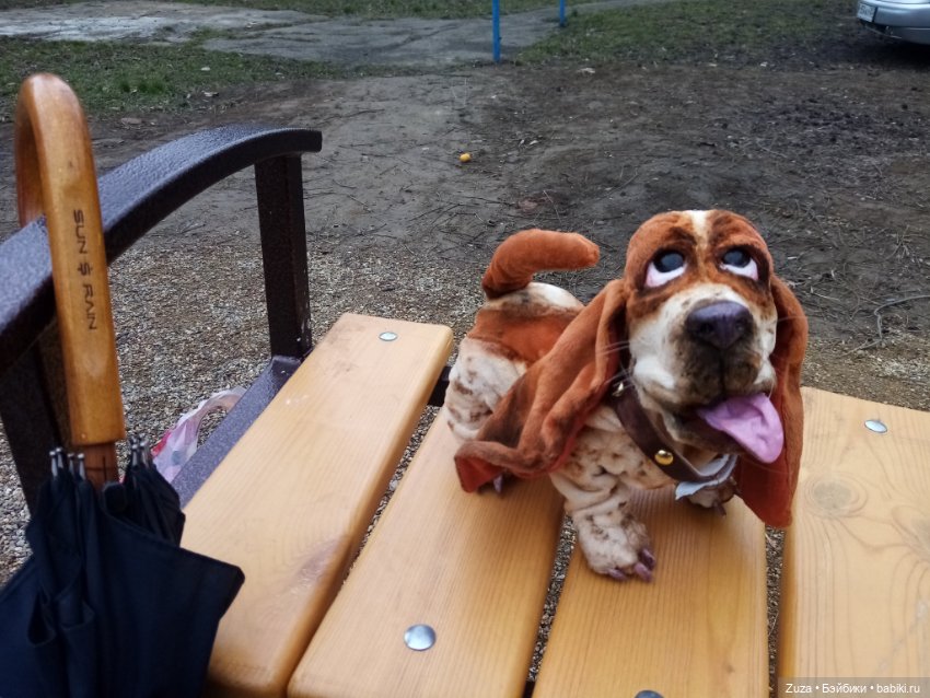 Федя, гулять — Авторские мишки Тедди и друзья: фото (фото 9)