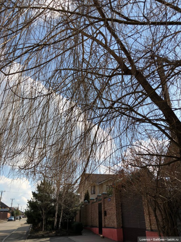 Прогулка к школе — Туризм и путешествия: фотоотчеты из поездок (фото 7)