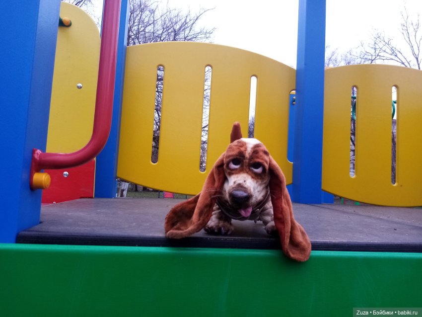 Федя, гулять — Авторские мишки Тедди и друзья: фото