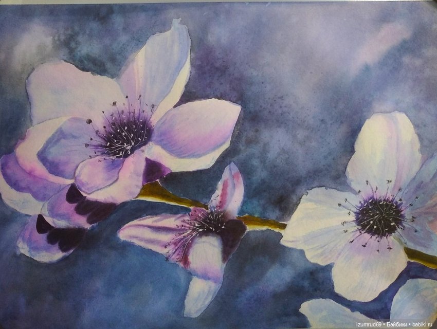 Я рисую. Часть 8 — Рисование и арт: скетчи