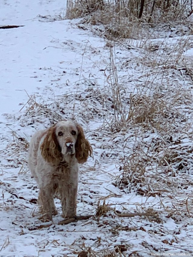 А у нас выпал снег — Куклы Paola Reina (Паола Рейна): новинки (фото 7)