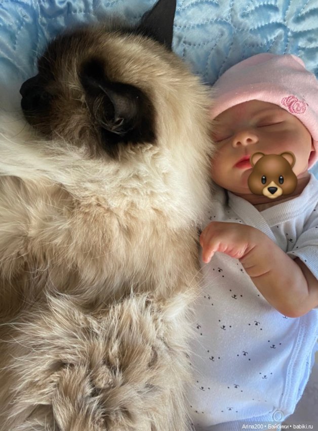 Малышка Изабелла — Куклы Реборн (Reborn): домашние фото (фото 3)