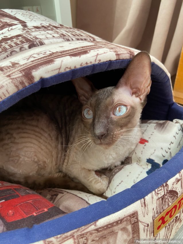 Старая швейная машинка — Разные куклы BJD (БЖД): редкие бренды (фото 8)