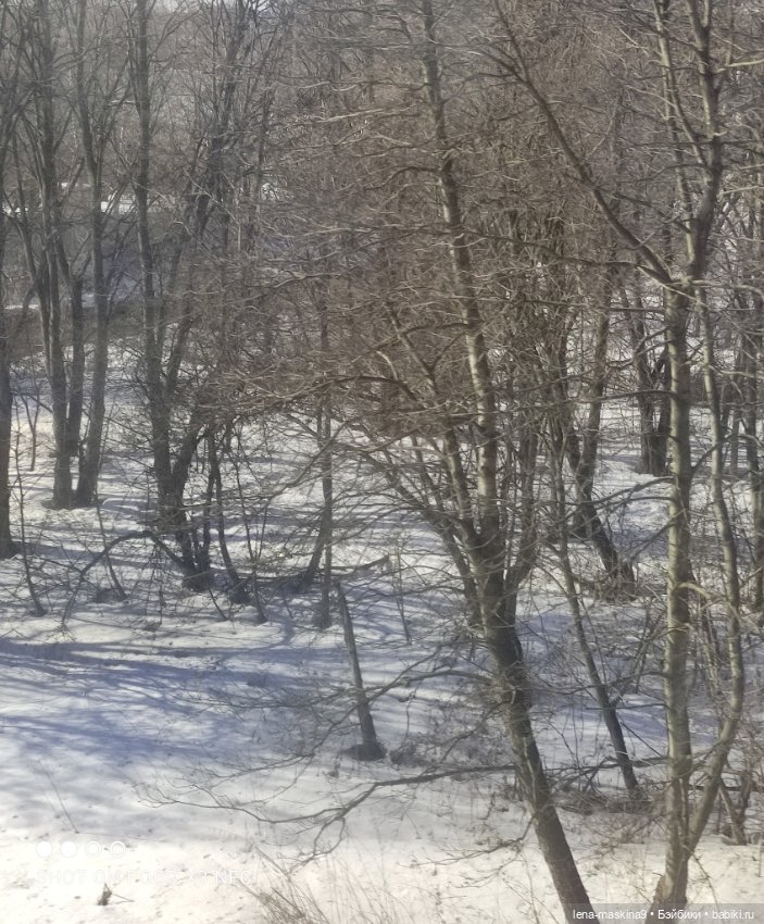 Асенька собралась в дорогу на поезде