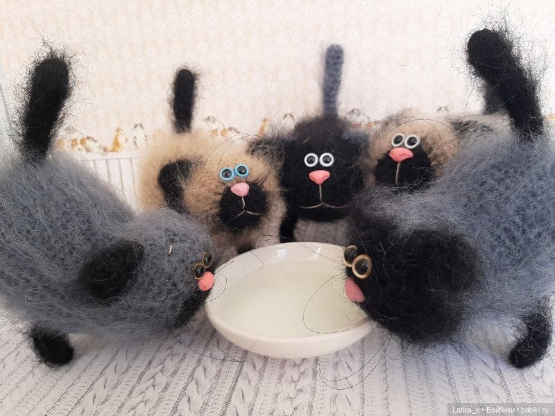 Таити,Таити... Нас и здесь не плохо кормят (фото 7)