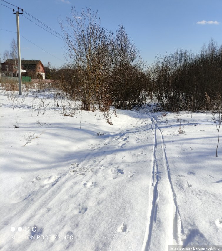 Асенька отправилась в поездку