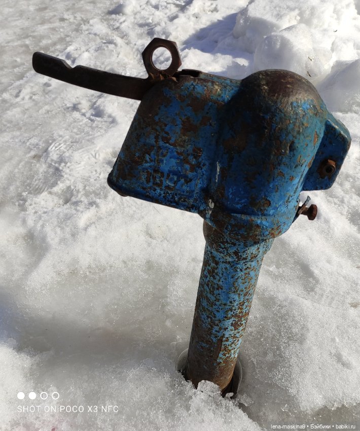 Асенька отправилась в поездку