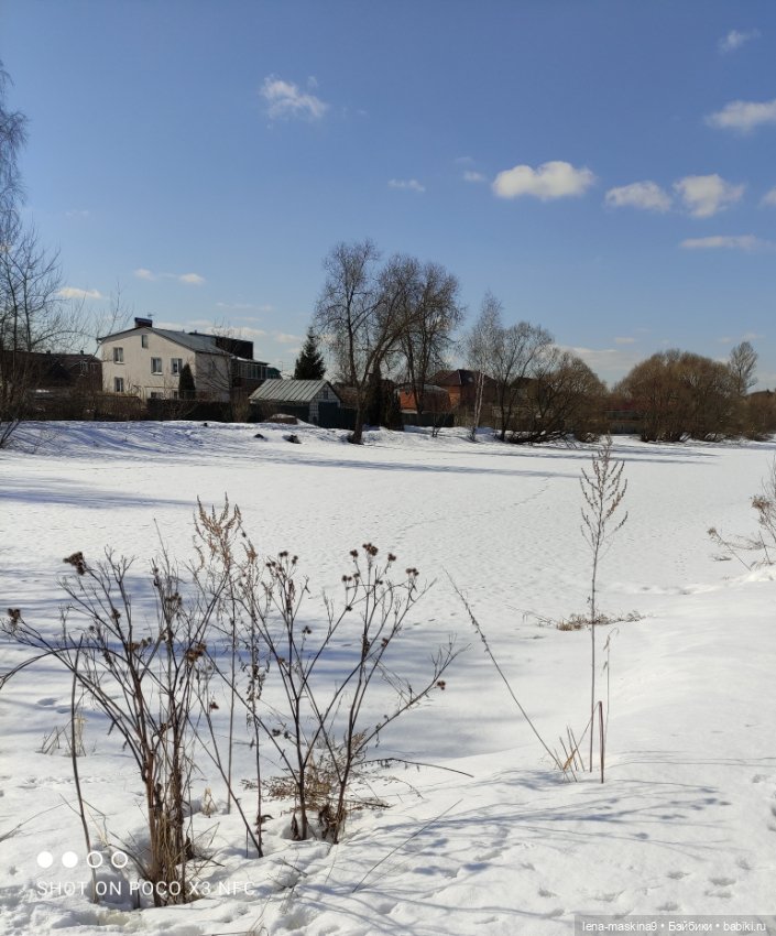 Асенька отправилась в поездку