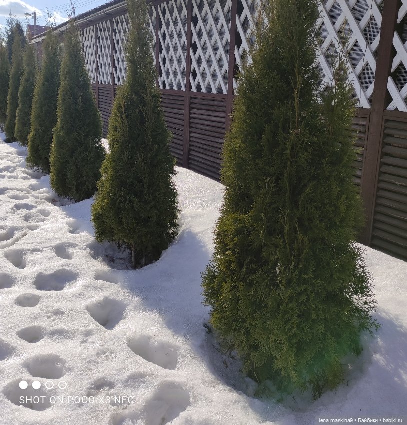 Асенька отправилась в поездку