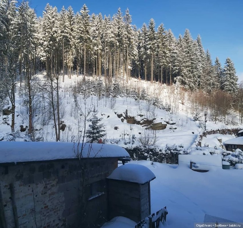 Дом с сюрпризом — Редкие антикварные куклы и реплики: воск (фото 5)