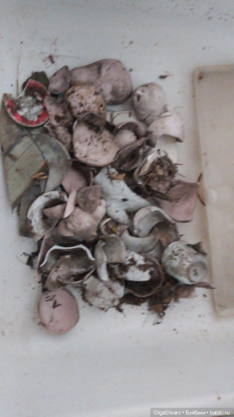 Дом с сюрпризом — Редкие антикварные куклы и реплики: воск