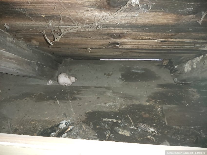 Дом с сюрпризом — Редкие антикварные куклы и реплики: воск