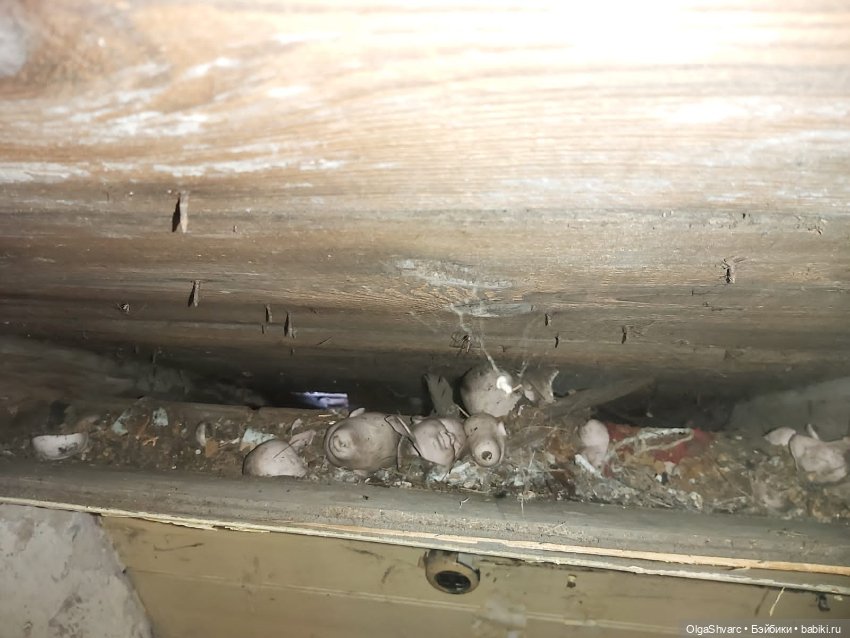 Дом с сюрпризом — Редкие антикварные куклы и реплики: воск