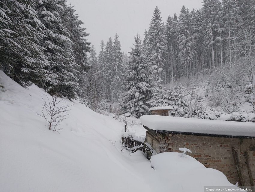Дом с сюрпризом — Редкие антикварные куклы и реплики: воск