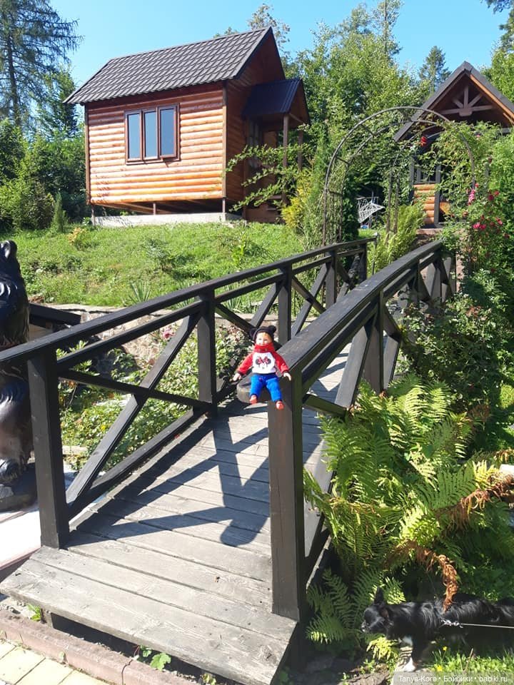 Вспоминая летние Карпаты — Болталка и разговоры обо всем: жизнь (фото 8)