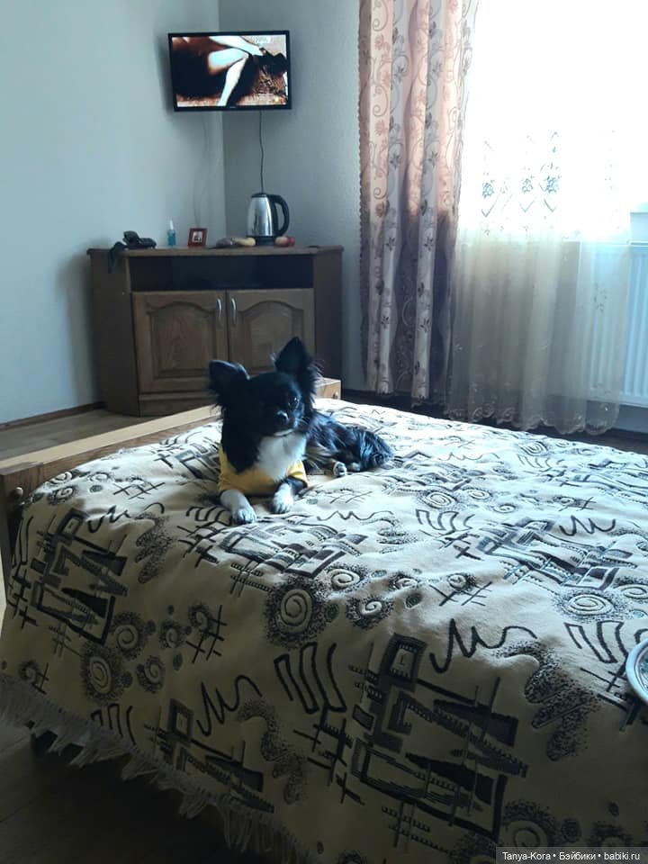 Вспоминая летние Карпаты — Болталка и разговоры обо всем: жизнь