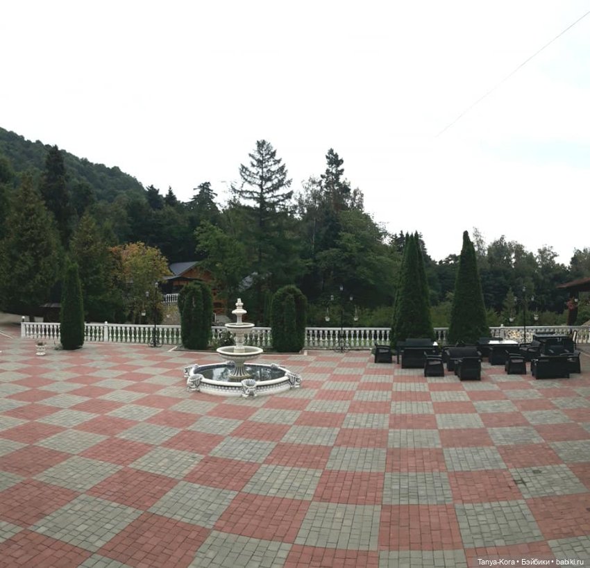 Вспоминая летние Карпаты — Болталка и разговоры обо всем: жизнь (фото 6)