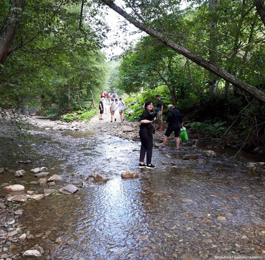 Вспоминая летние Карпаты — Болталка и разговоры обо всем: жизнь