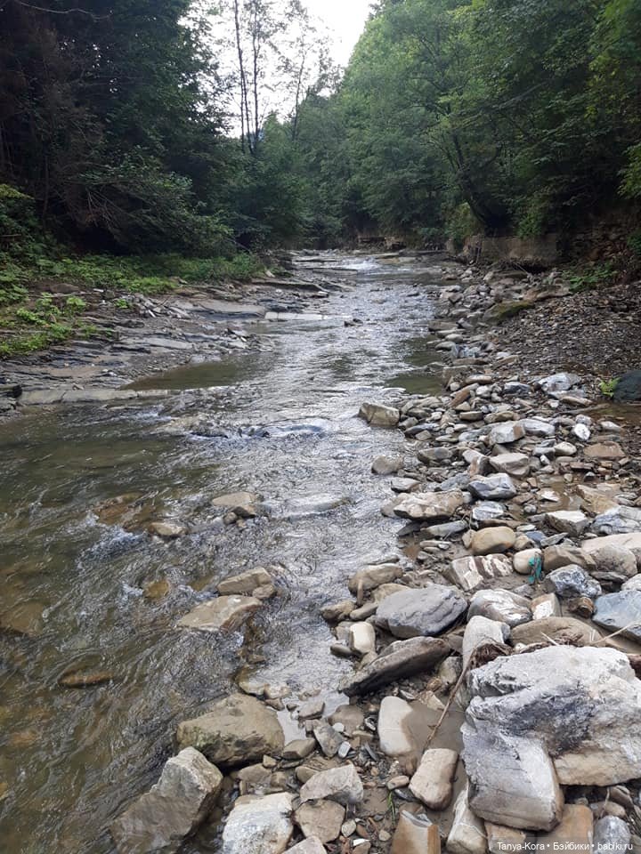 Вспоминая летние Карпаты — Болталка и разговоры обо всем: жизнь