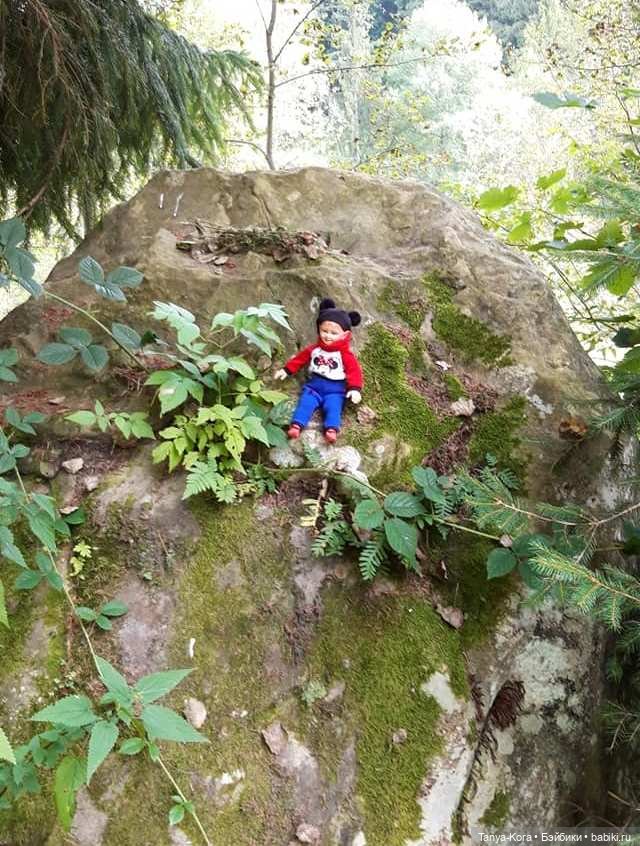 Вспоминая летние Карпаты — Болталка и разговоры обо всем: жизнь