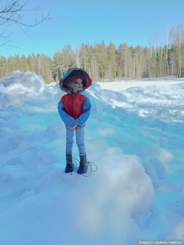 Куклы DIM (Doll in Mind): корейские BJD (БЖД) (фото 2)