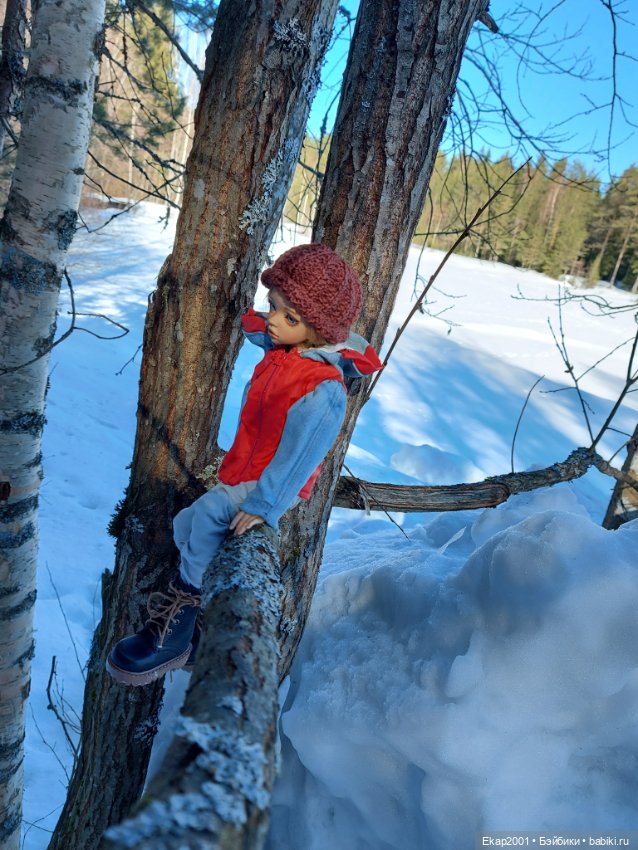 Куклы DIM (Doll in Mind): корейские BJD (БЖД) (фото 3)