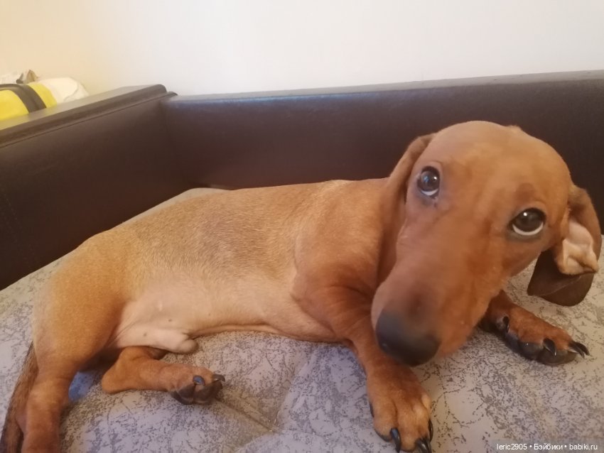 Как же я соскучилась, по Вам, бейбиковцы (фото 7)