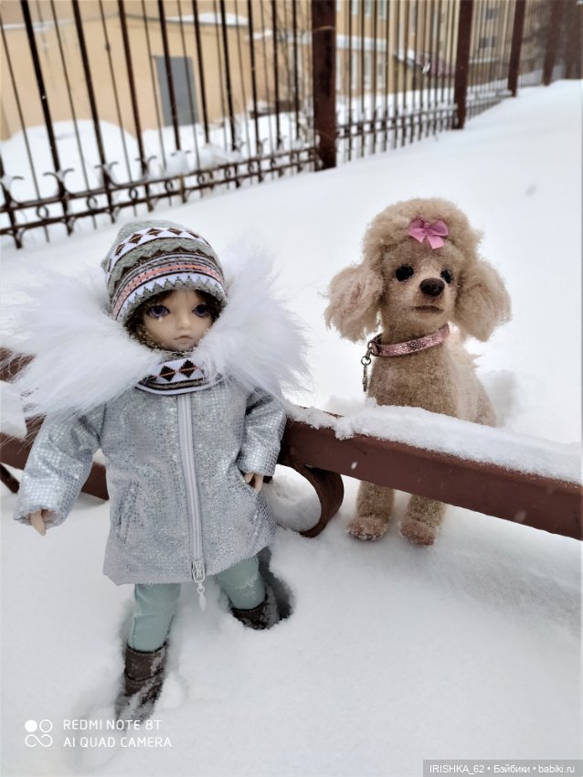 Я завела себе собаку… на 6 утра на каждый день 