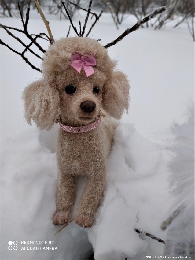 Я завела себе собаку… на 6 утра на каждый день  (фото 2)