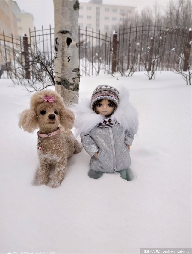 Я завела себе собаку… на 6 утра на каждый день  (фото 9)