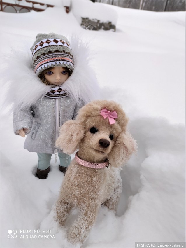 Я завела себе собаку… на 6 утра на каждый день 