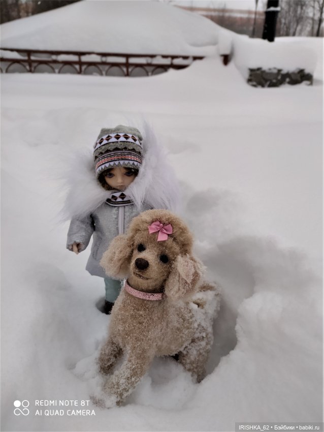 Я завела себе собаку… на 6 утра на каждый день 