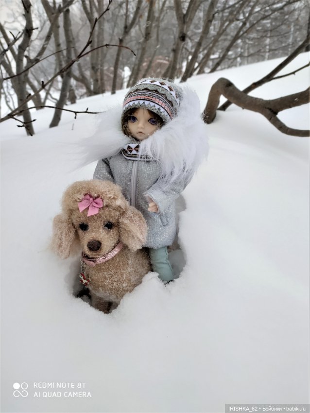 Я завела себе собаку… на 6 утра на каждый день  (фото 10)