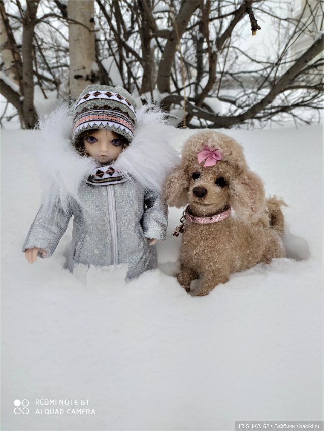 Я завела себе собаку… на 6 утра на каждый день  (фото 7)
