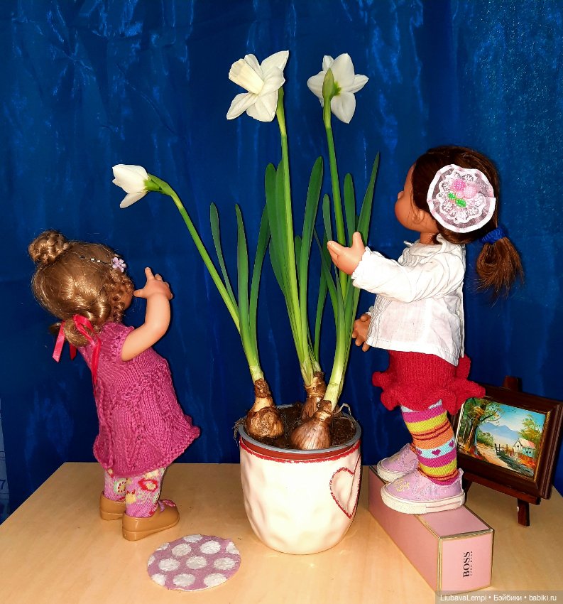 У самовара я и моя Маська. И дел своих, не переделать нам (фото 6)