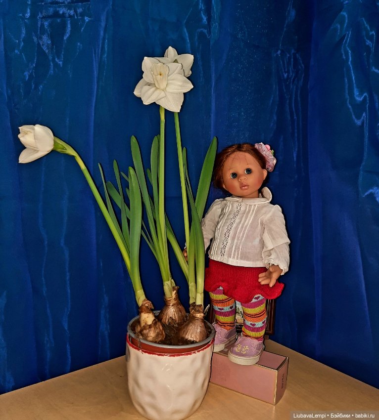 У самовара я и моя Маська. И дел своих, не переделать нам (фото 10)