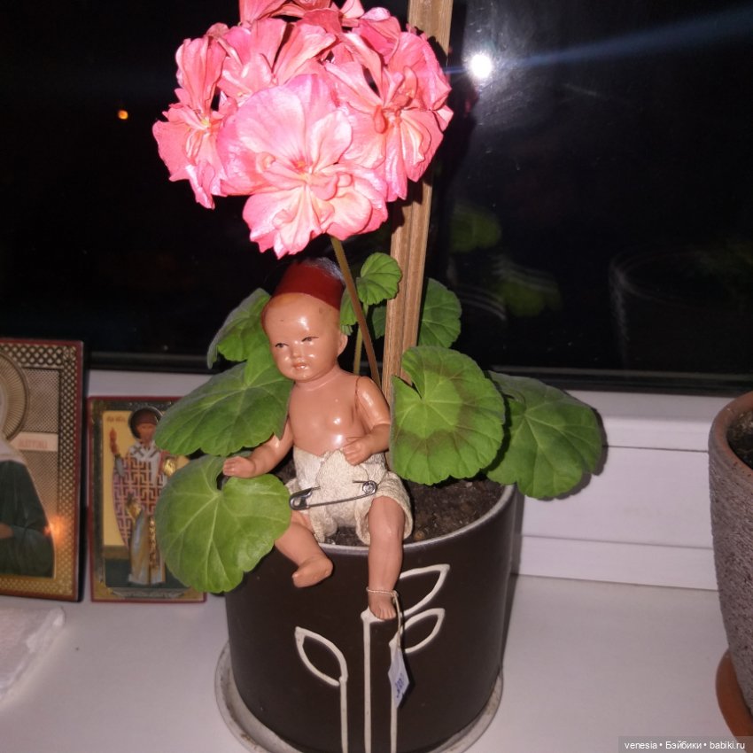 Шильдкрет, турченок, целлулоид