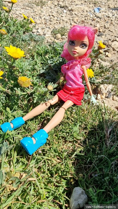 С волками жить, - к фотосессии