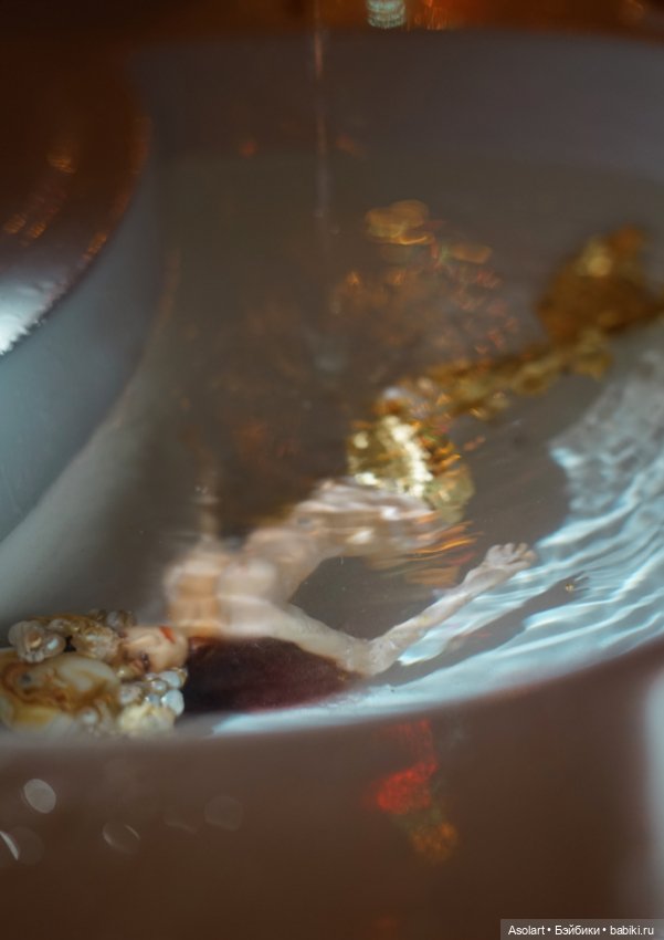 Содержание русалок в домашних условиях (фото 3)