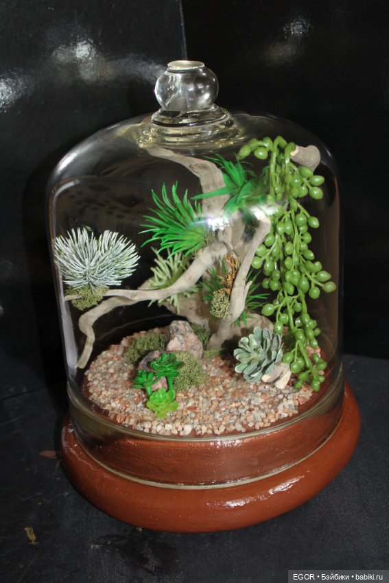 Минисады — Другие хобби и увлечения: сад (фото 9)