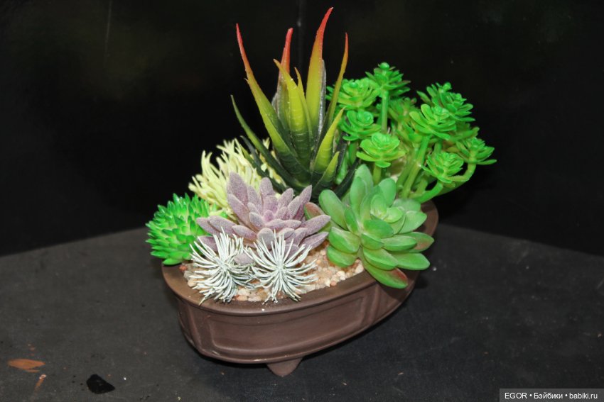 Минисады — Другие хобби и увлечения: сад (фото 2)