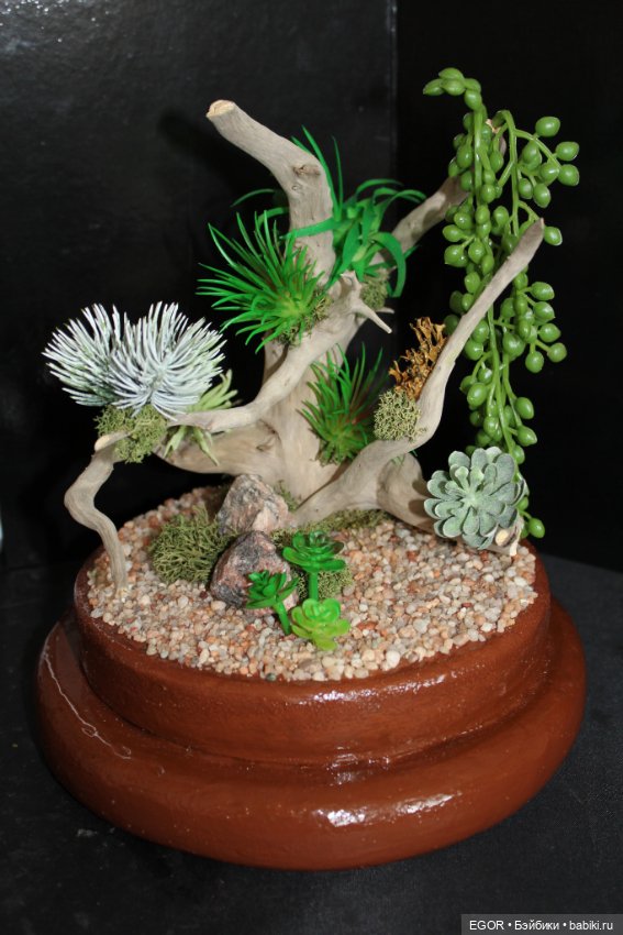 Минисады — Другие хобби и увлечения: сад