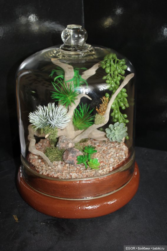 Минисады — Другие хобби и увлечения: сад (фото 8)