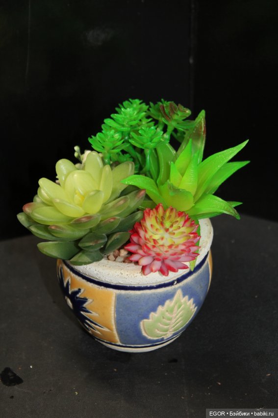 Минисады — Другие хобби и увлечения: сад (фото 3)