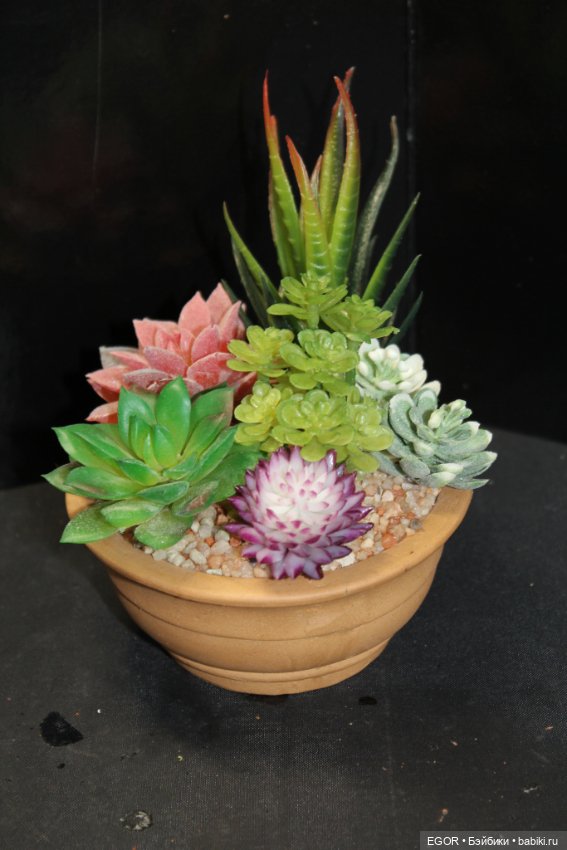 Минисады — Другие хобби и увлечения: сад (фото 5)