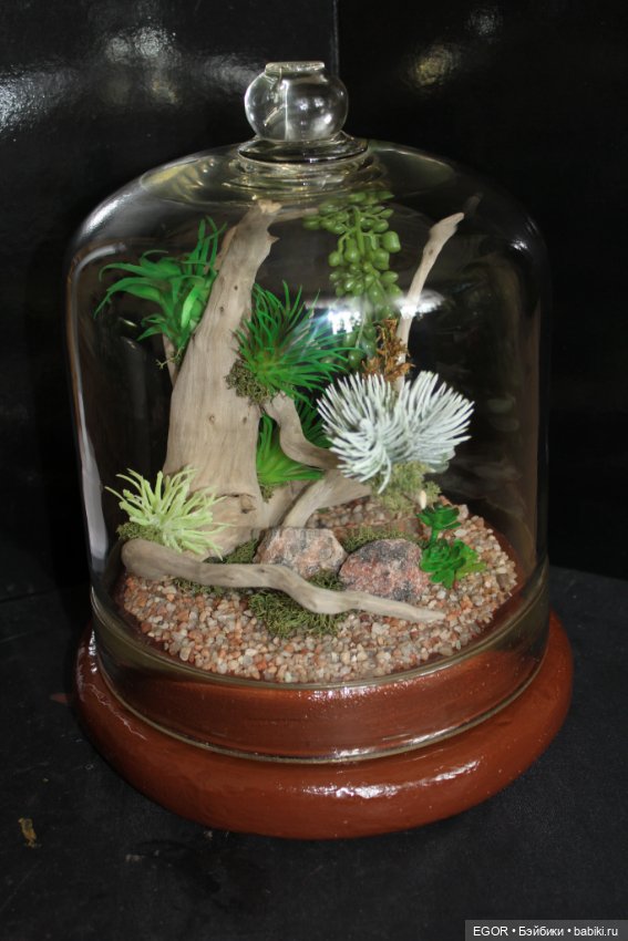 Минисады — Другие хобби и увлечения: сад (фото 10)