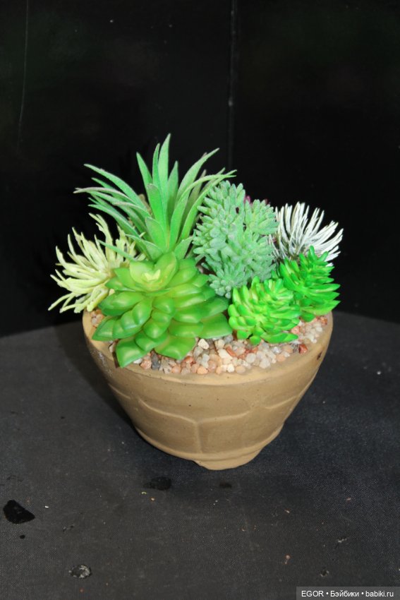 Минисады — Другие хобби и увлечения: сад (фото 6)