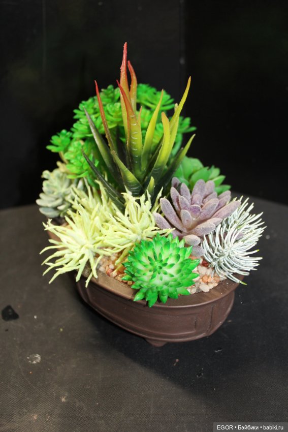 Минисады — Другие хобби и увлечения: сад