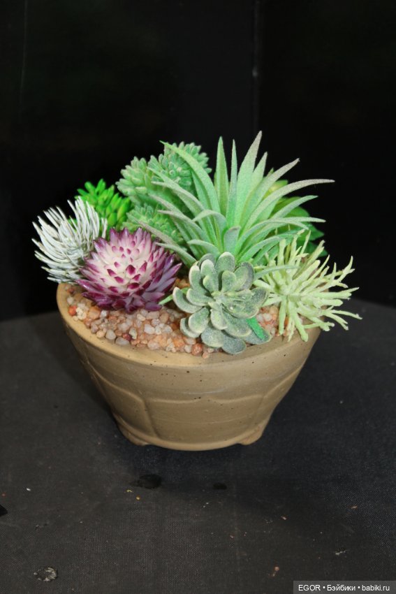 Минисады — Другие хобби и увлечения: сад (фото 7)