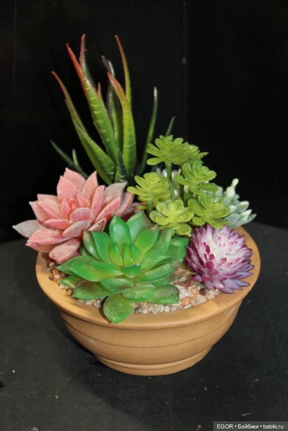 Минисады — Другие хобби и увлечения: сад (фото 4)